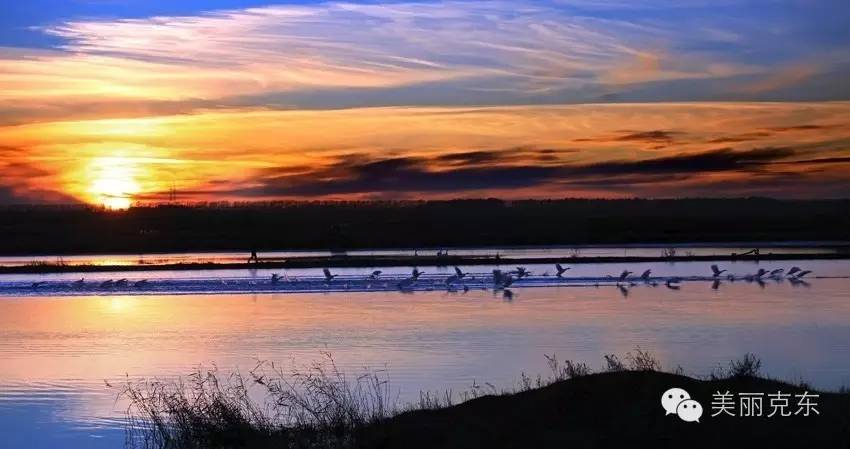 克东最近的视频,克东最新视频全集