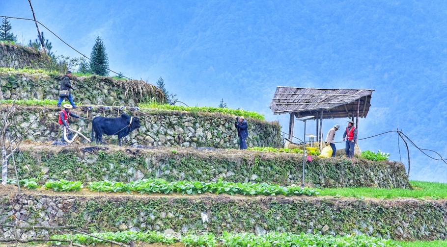 云耕生活记你耕田来我织布