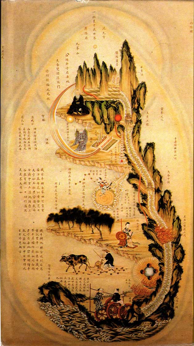 十二经络与奇经八脉的详细讲解,中医大讲堂之奇经八脉