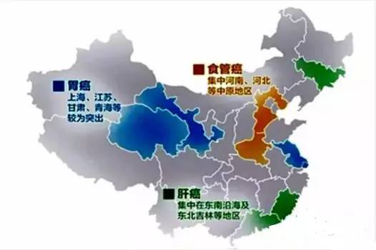 每日时政热点及解读,地理中考时事热点2024讲解