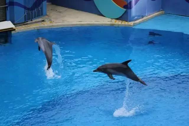 内地居民赴港澳定居分数计算方法,申请港澳定居分数139.8