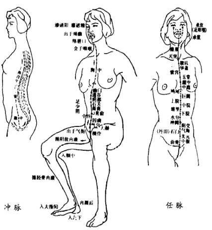 十二经络与奇经八脉的详细讲解,中医大讲堂之奇经八脉