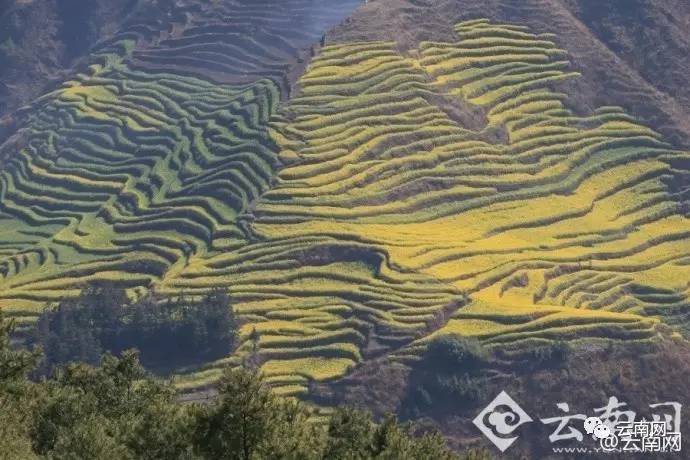 小侃最新视频,小侃