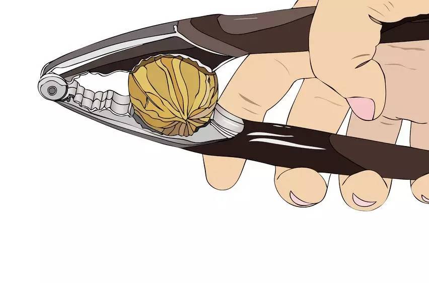 胡桃夹子魔境冒险,胡桃夹子芭蕾舞剧