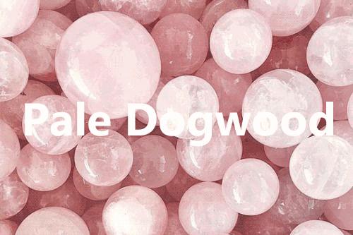 二月种草｜二月你慢点走，我的春装还没有准备好！