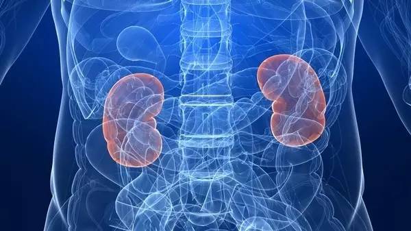 「健康」尿常规报告上这几个指标，告诉你肾好不好！