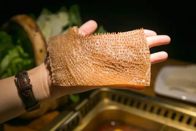 小编吐血亲测10家热辣辣顶味火锅店，没吃过5家以上的不算上海吃货！