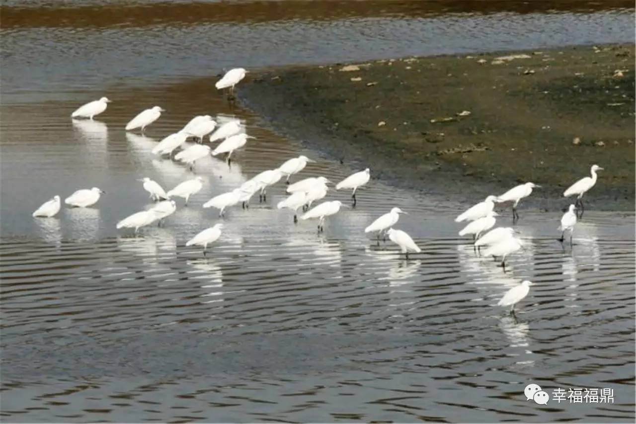 「玩转乡镇」别样山前，让我想想你原来的样子……