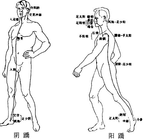 十二经络与奇经八脉的详细讲解,中医大讲堂之奇经八脉