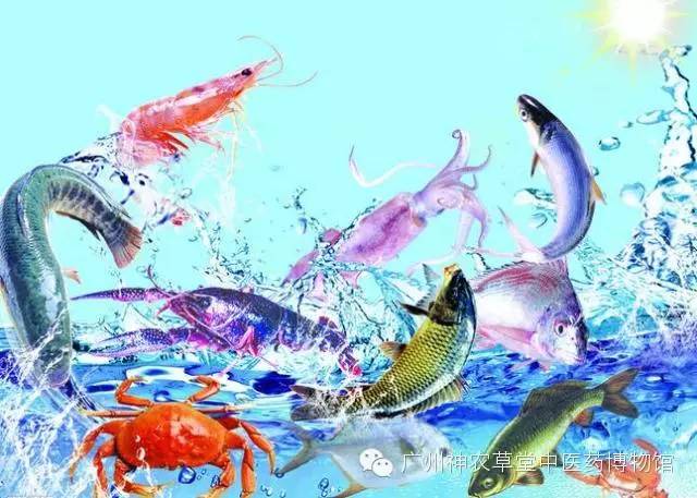 春季皮肤过敏吃什么食物最好,儿童春季皮肤过敏泛红发痒小妙招