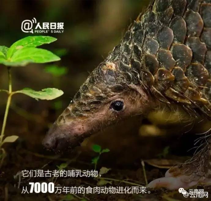 小侃最新视频,小侃