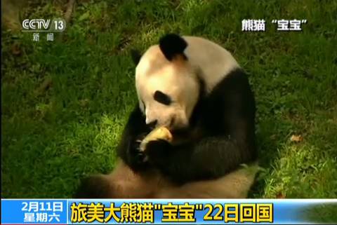 早啊新闻来啦在哪听,早啊新闻来了哪里能听