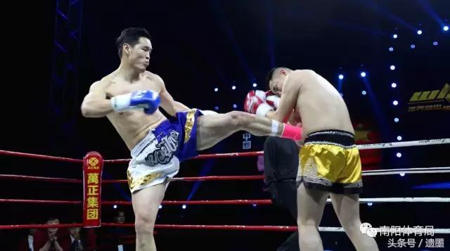 南阳十大热议新闻,南阳体育新闻