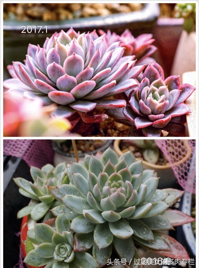 最爱对比图！对比后更惊艳！