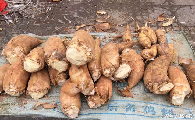 在北方不容易买到的时令蔬菜,这些特色蔬菜你见过吗