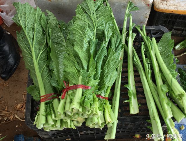 在北方不容易买到的时令蔬菜,这些特色蔬菜你见过吗