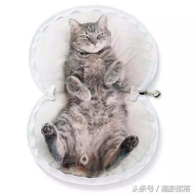 猫控保健,猫控送什么礼物