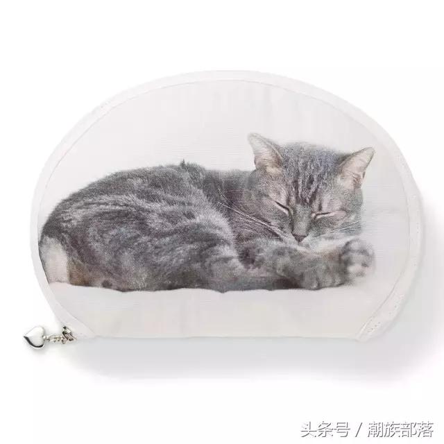 猫控保健,猫控送什么礼物