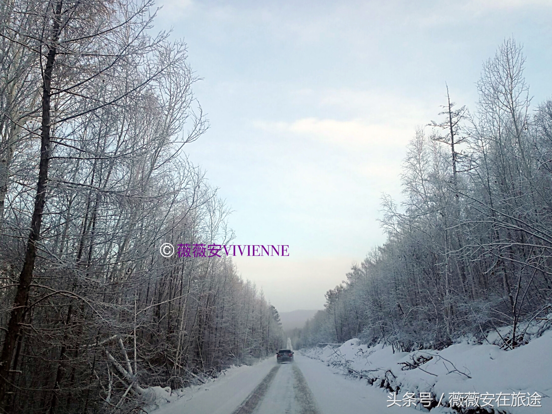 北国冰城之旅,奔赴冰城哈尔滨感受北国浪漫