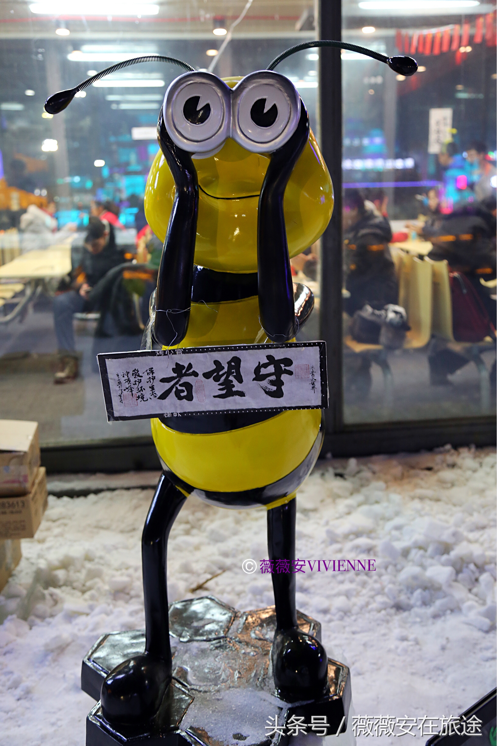 北国冰城之旅,奔赴冰城哈尔滨感受北国浪漫