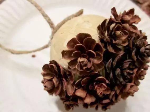 原来松果还可以这么美,原来红杉树也可以很美