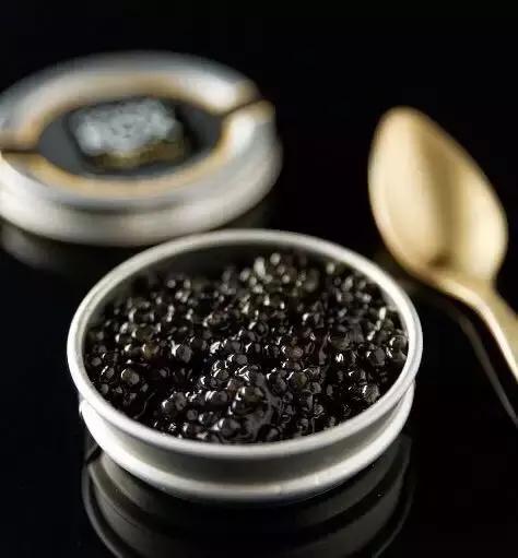 深海鱼子酱的功效与作用,来自深海的鱼完整版