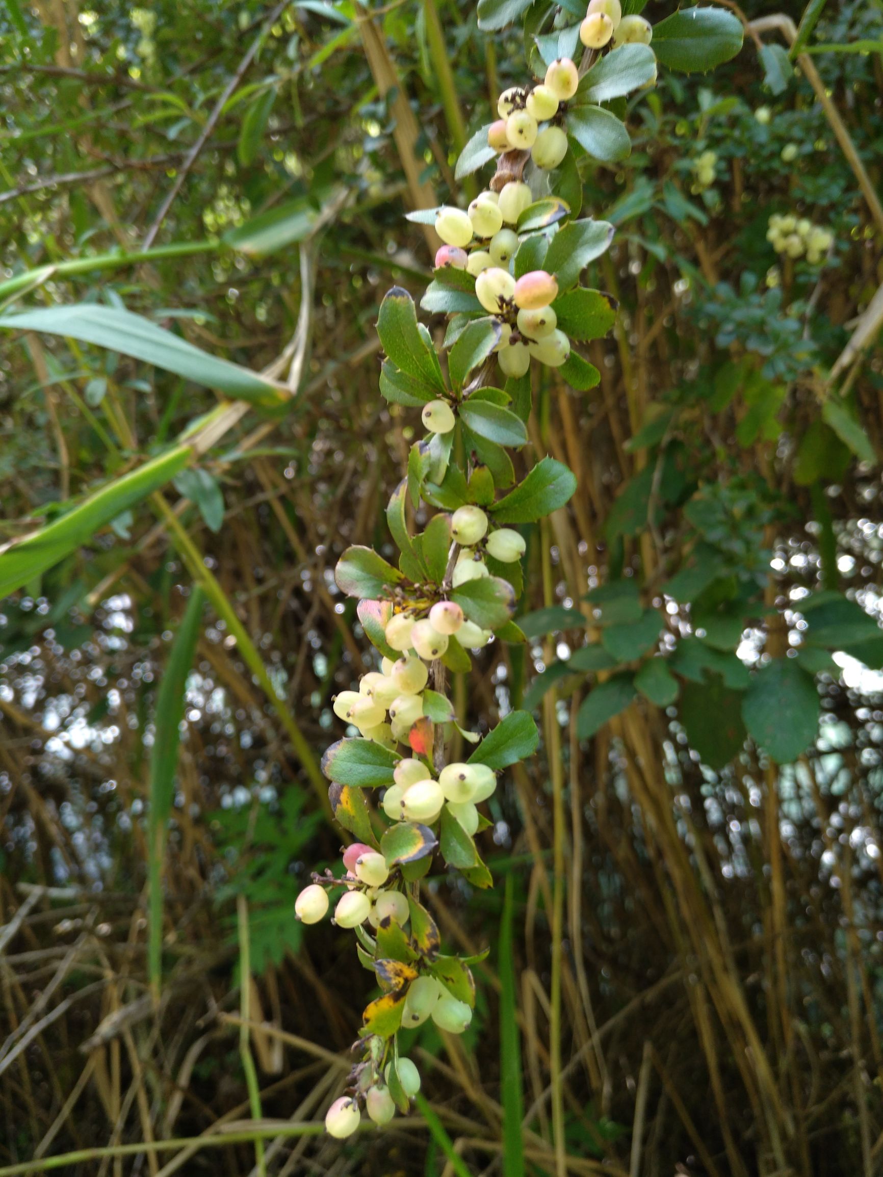 宁夏到陕西的沿途旅游,从宁夏自驾游到重庆多长时间