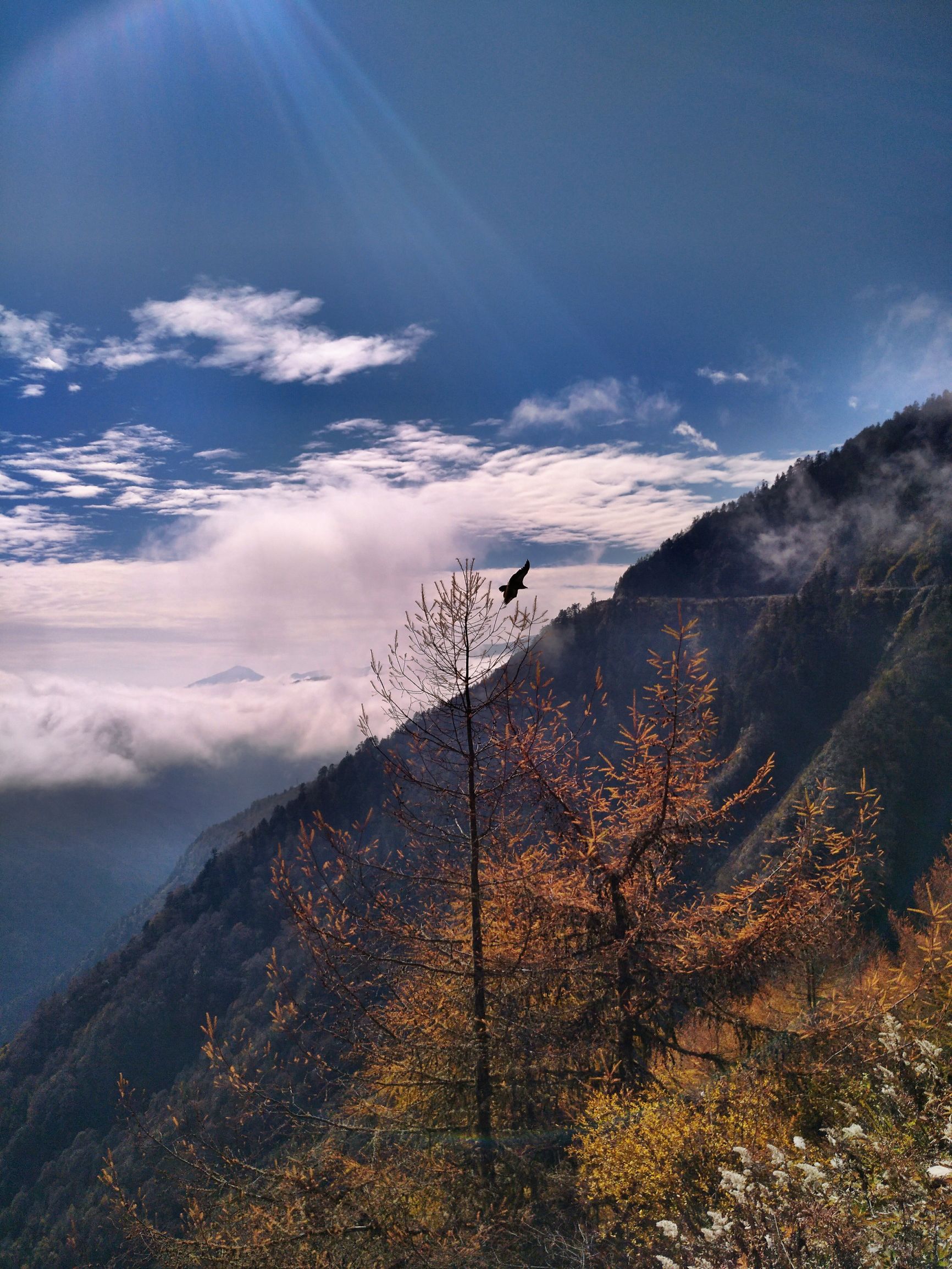 宁夏到陕西的沿途旅游,从宁夏自驾游到重庆多长时间