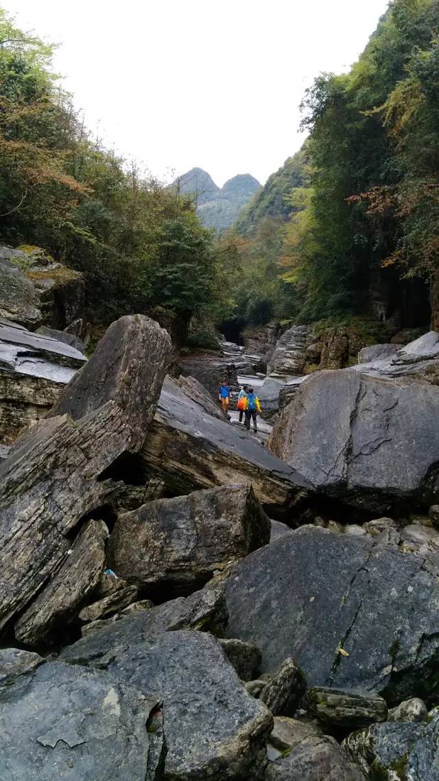 宜昌三峡恩施神农架武当山旅游团,宜昌三峡恩施