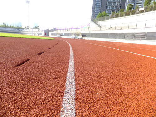 深圳宝安24小时足球场,深圳宝安体育场草皮