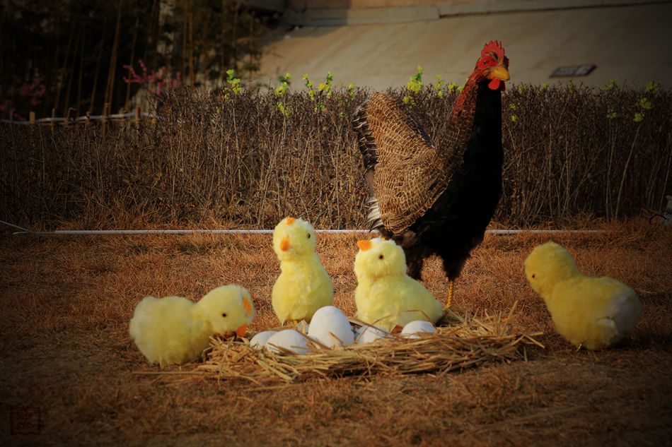 天水麦积区翠湖镇,甘肃天水麦积区翠湖