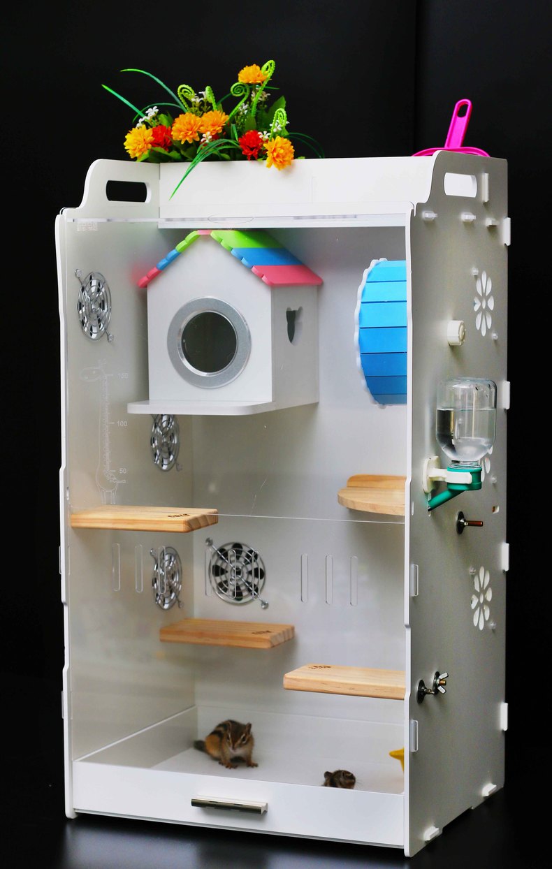 龙猫饲养技术书籍,龙猫饲养空间布置