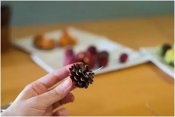 原来松果还可以这么美,原来红杉树也可以很美