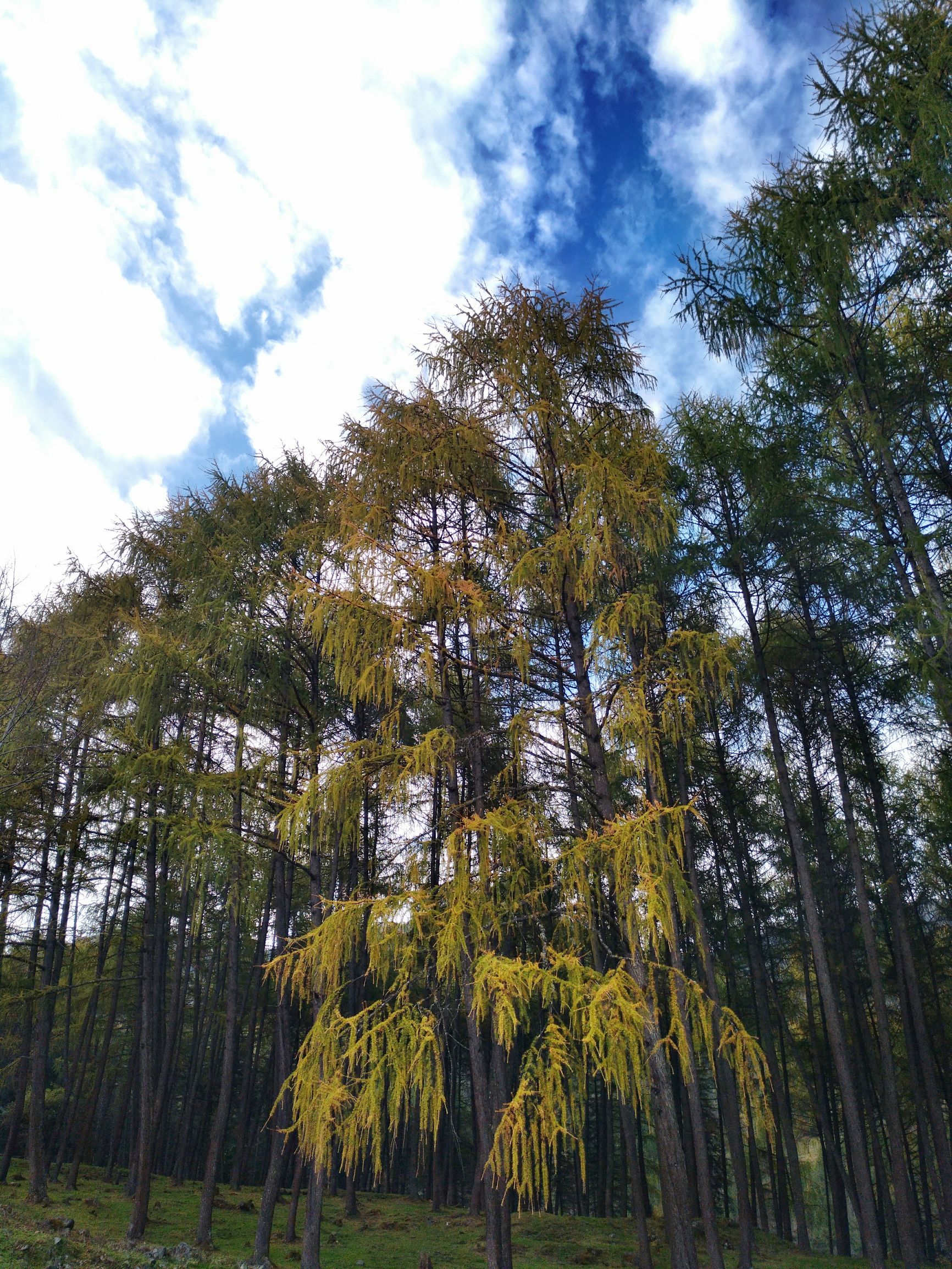 宁夏到陕西的沿途旅游,从宁夏自驾游到重庆多长时间