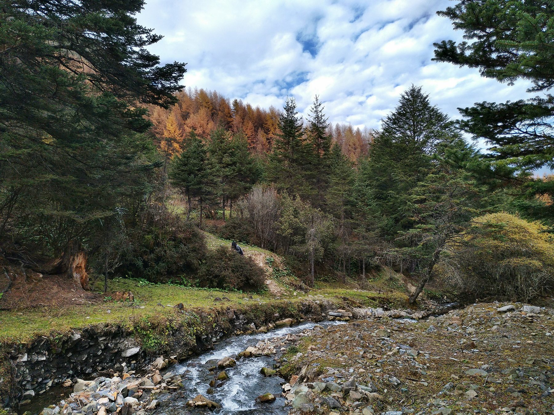 宁夏到陕西的沿途旅游,从宁夏自驾游到重庆多长时间