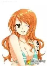 海贼王里的冷知识路飞不吃什么,关于海贼王的100冷知识