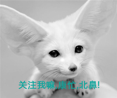 王者荣耀黑科技设置,王者荣耀黑科技英雄玩法