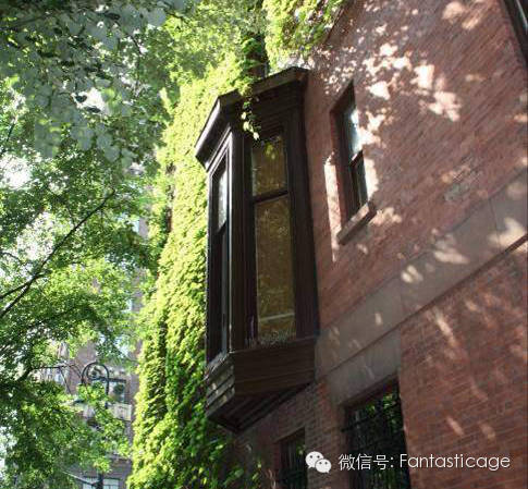 “好房子101个细节”2016中国卖得最好的100个楼盘秘密