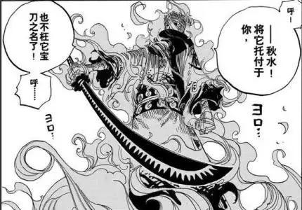 海贼王里的冷知识路飞不吃什么,关于海贼王的100冷知识