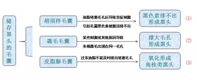 还在为毛孔粗大黑头粉刺而烦恼吗,还在为鼻炎烦恼吗