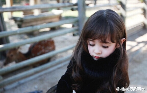 好爸爸文章阅读,好爸爸教我们写好作文