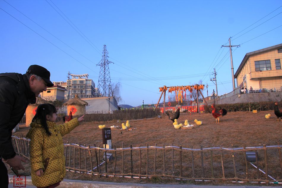 天水麦积区翠湖镇,甘肃天水麦积区翠湖