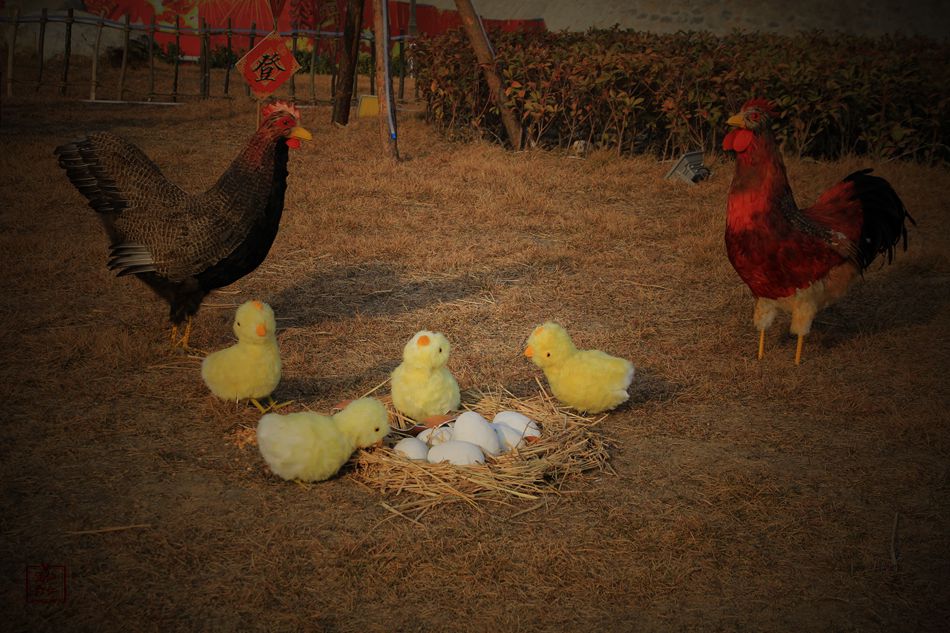 天水麦积区翠湖镇,甘肃天水麦积区翠湖