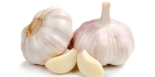 海参能治好胃病吗,海参能治病不