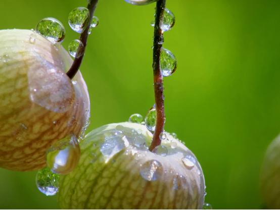 顶级hdmi品牌,高品质hdmi线