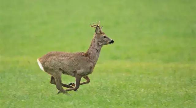 閿愭鏈夋哀鍋ヨ韩,閿愭澶忓鍋ヨ韩
