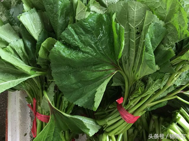 在北方不容易买到的时令蔬菜,这些特色蔬菜你见过吗