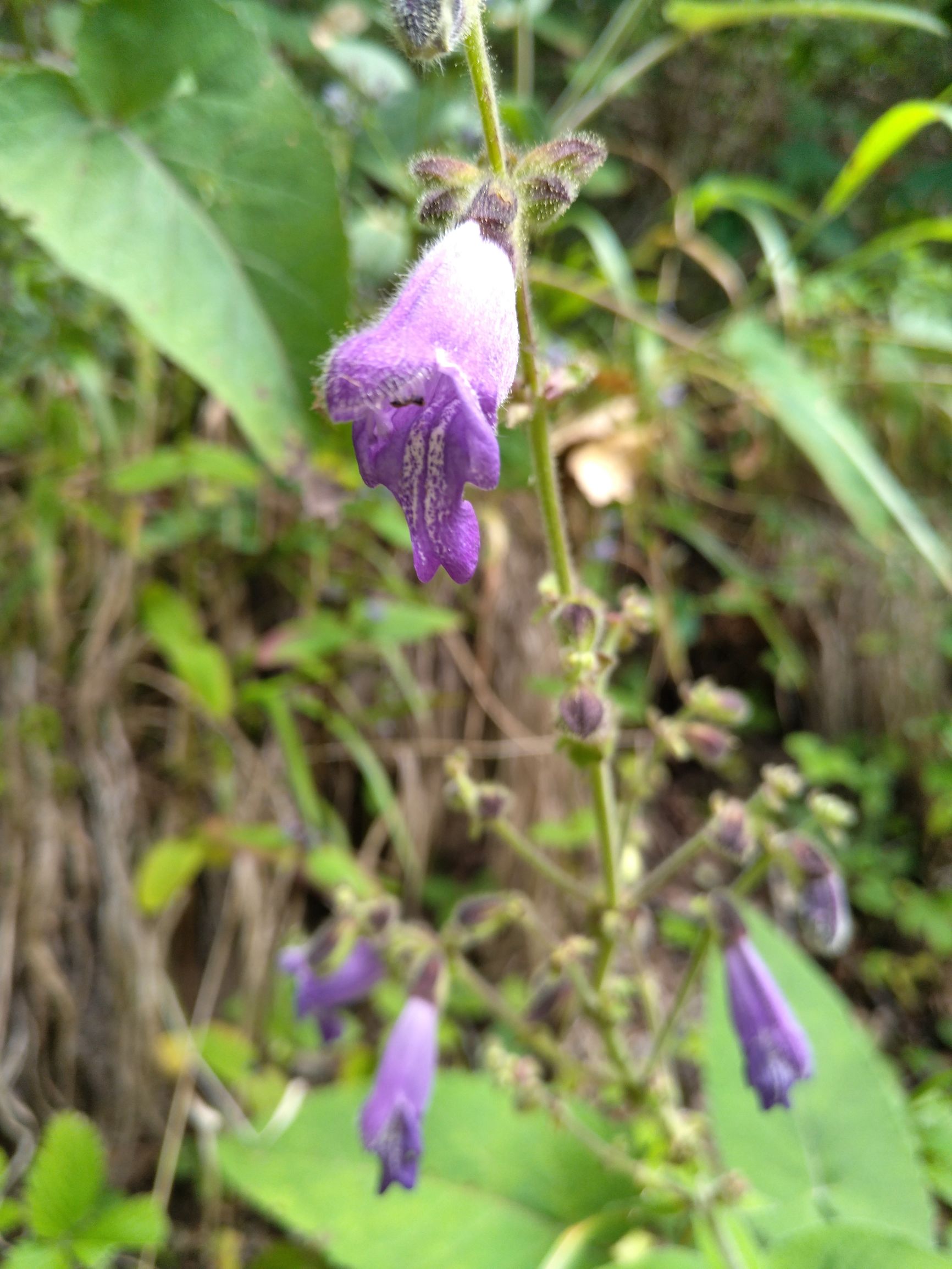 宁夏到陕西的沿途旅游,从宁夏自驾游到重庆多长时间