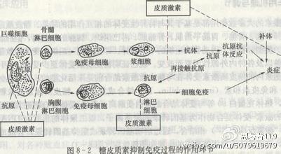 怎么应对哮喘,哮喘急性发作怎么处理