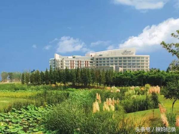 值得去的亲子酒店,暑期值得入住的亲子酒店